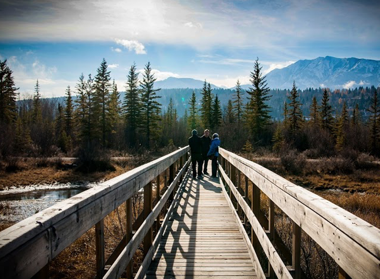 boardwalk